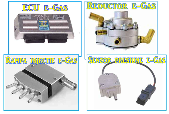 Componente E-Gas